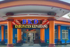 2 OPD Kepahiang Ajukan SPH Senilai Ratusan Juta: Dibayar Tunggu Hasil Audit BPK RI 