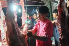 H-11 Idul Fitri, Harga Daging Sapi di Kepahiang Mulai Merangkak Naik