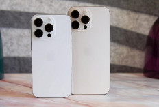 Sudah Beredar di Pasar Teknologi Indonesia, Iphone 17 Pro Max Dipastikan Lolos TKDN