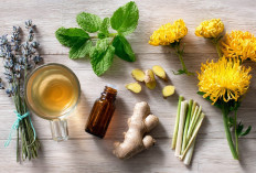 Herbal Alami untuk Sakit Kepala: Alami, Aman, dan Bantu Meredakan Tanpa Efek Samping
