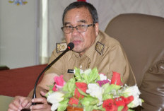 Dimediasi Pemkab RL, Tower Provider Bakal Dibangun di Desa Kampung Baru