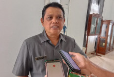 Alhamdulillah! 14 Puskesmas di Kabupaten Kepahiang Sudah BLUD