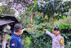 Laki-laki Gantung Diri di Kepahiang Merupakan Warga  Empat Lawang