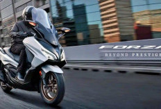 Honda Forza 250: Motor Matic Bongsor Rp 95 Juta, Ini Sepesifikasinya