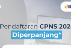 Pendaftaran CPNS 2024 Diperpanjang 10 September, Berikut Jadwal Seleksi Terbaru dan Lengkap 