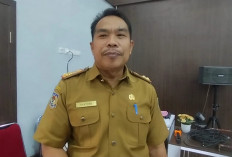 Ratusan Honorer di Kabupaten Kepahiang Terancam PHK Massal? Tak Dapat Formasi PPPK Paruh Waktu