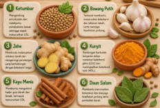 6 Bumbu Dapur Murah Ini Bisa Hempas Kolesterol Jahat, Jantung Makin Sehat Alami!