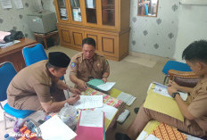 25 THL Kabupaten Kepahiang Gagal Ikut Seleksi PPPK Tahap II: Bagaimana Nasibnya? 