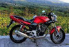 Motor Ikonik, Yuk Nostalgia dengan Honda Tiger 2000