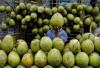 Tak Sembarangan, Ini Waktu Terbaik Minum Air Kelapa