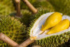 5 Makanan Ini Sebaiknya Dikonsumsi Setelah Makan Durian