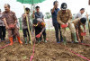  Dukung Program Asta Cita, Polres Kepahiang Gelar Penanaman 1 Juta Hektare Jagung