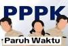 PPPK Paruh Waktu di Kabupaten Lebong Belum Ada Kepastian, Ini Penjelasan BKPSDM