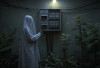 Heboh Isu ‘Pocong Turunkan Sekring’ Meteran Rumah di Kepahiang: Polisi Turun Tangan, Ini Hasilnya