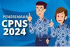 Jelang Penutupan Pendaftaran CPNS 2024, Jangan Salah Pilih, Ini Formasi CPNS Tamatan SMA/SMK 