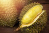 CATAT! Ini Jadwal Festival Durian Rejang Lebong 2025