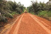 Jalan Petani Diportal, Puluhan Desa di Bengkulu Tengah Protes ke PT. RAA