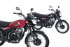 Honda GL Pro Modern: Tetap Tangguh dan Irit BBM, Terasa Bernostalgia Tahun 90-an 