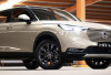  Daftar Mobil SUV Terlaris 2025 di Indonesia, Cek Daftarnya