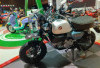  Honda Monkey 125 Versi 2025: Tampil Mentereng dengan 3 Varian Warna
