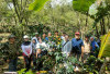  Pengusaha Asal Jepang Tertarik dengan Kopi Kepahiang: Kunjungi Kebun Kopi Milik Poktan Pomas Kabawetan