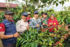 Lomba Kebun Kopi Bukan Hanya Seremonial, Bupati Kepahiang Minta Jadi Pemicu Produktivitas