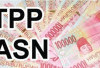 20 OPD Belum Sampaikan Usulan Pencairan TPP