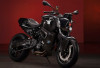 BMW F 800R, Motor Sport 2025 Meluncur: Ini Spesifikasi & Fitur Canggihnya