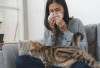 Gejala Alergi Bulu Kucing Selain Bersin: Cek Penjelasannya