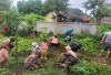  Wali Murid Dilibatkan Gotong Royong Membuat Kebun Sekolah 