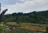 Meski Rebutan Stok di Kios, Petani Lebih Pilih Pupuk Bersubsidi!