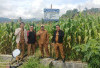 Program Ketahanan Pangan Desa Kelobak Kabupaten Kepahiang: Jagung Siap Panen di Akhir Oktober