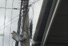Pemasangan Kabel Wifi Nebeng di Tiang Listrik Milik PLN Dikeluhkan  