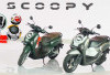 Pilihan Warna Motor Honda Scoopy 2025 Terbaru, Cek Disini!