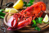 Berbagai Manfaat Lobster untuk Kesehatan yang Jarang Diketahui 