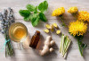Herbal Alami untuk Sakit Kepala: Alami, Aman, dan Bantu Meredakan Tanpa Efek Samping