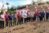 Dukung Program Sade Sahe, Desa Pulo Geto Kabupaten Kepahiang Tanam Jagung